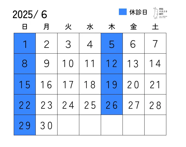 6月の診療日