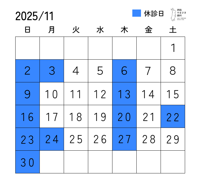 11月の診療日